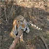 Phen Wildlife Sanctuary Phen Wildlife Sanctuary