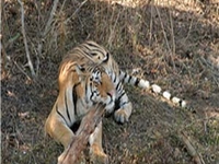 Phen Wildlife Sanctuary Phen Wildlife Sanctuary
