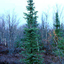 Newfoundland and Labrador Newfoundland and Labrador