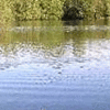 Lake Sone