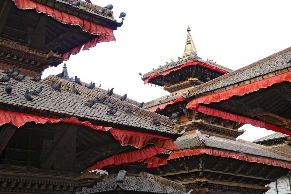 Pigeons On The Hanuman Dhoka Roof