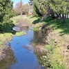 Pinole Creek Pinole Creek