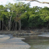 Piyali River