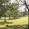 Platt Fields Park Platt Fields Park
