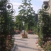 Promenade Plantée Promenade Plantée