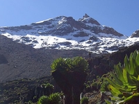 6 Days Mt Kenya Climbing Tour 6 Days Mt Kenya Climbing Tour
