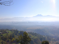 Phulchoki