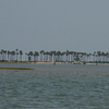 Pulicat Lake