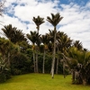 Punakaiki Punakaiki