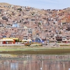 Puno Puno