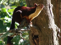 Purna Wildlfe Sanctuary