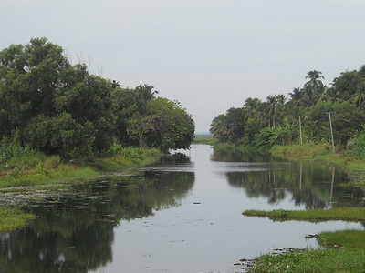 Thrissur Kole Wetlands, Thrissur, India Tourist Information