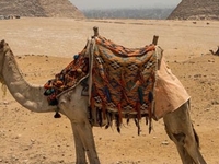 Pyramids Tour