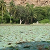 Pampa Sarovar Pampa Sarovar