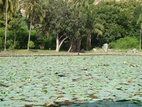 Pampa Sarovar