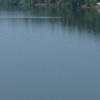 Parassinikkadavu Parassinikkadavu