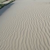 Ashdod Sand Dune