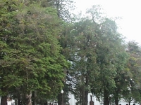 Popayan