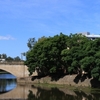 Lennox Bridge