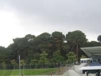 Perth Hockey Stadium Perth Hockey Stadium