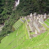 Wiñay Wayna
