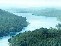 Pench River Pench River
