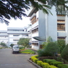 Verna Verna