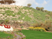 Island of Peace