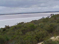 Pink Lake Pink Lake