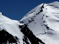 Castor