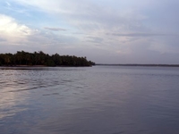 Ponnani Ponnani