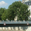Pont Saint-Louis Pont Saint-Louis