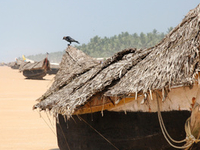 Poovar