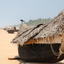 Poovar