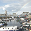 Poplar Dock