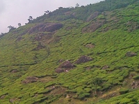 Pothamedu View Point Pothamedu View Point