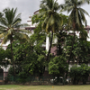 Presidency University