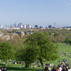 Primrose Hill Primrose Hill