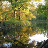 Prospect Park Prospect Park