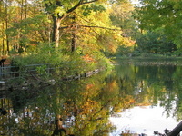 Prospect Park Prospect Park