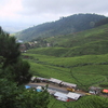 Puncak Puncak