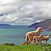 Northland