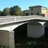 Pontedera