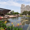Rabin Square