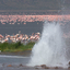 Lake Bogoria National Reserve Lake Bogoria National Reserve