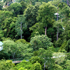 Rainforest Discovery Centre Rainforest Discovery Centre