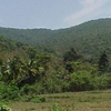 Rangat Rangat