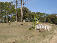 Ranikhet Golf Course