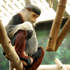 Philadelphia Zoo Philadelphia Zoo