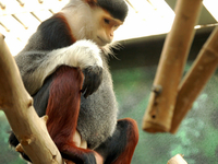 Philadelphia Zoo Philadelphia Zoo